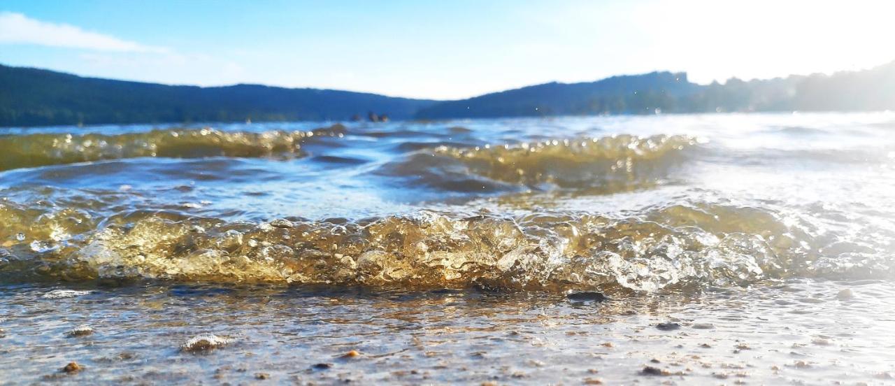 Apartament Lipno Riviera - Mysi V Bote Lipno nad Vltavou Zewnętrze zdjęcie