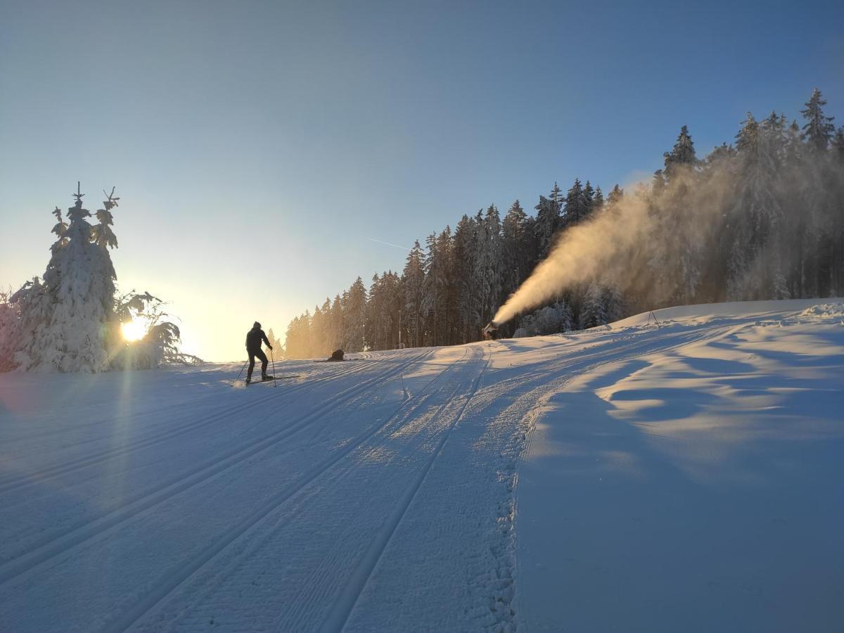 Apartament Lipno Riviera - Mysi V Bote Lipno nad Vltavou Zewnętrze zdjęcie